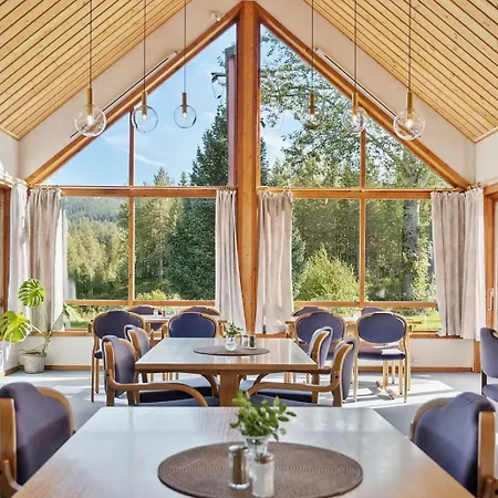 Heia Gjestegard * Grong